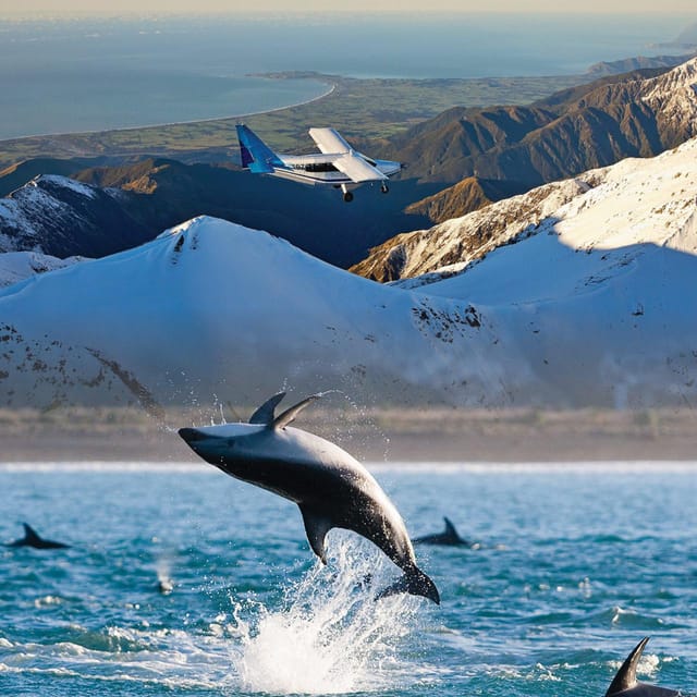 whales-by-air-dolphins-by-sea_1